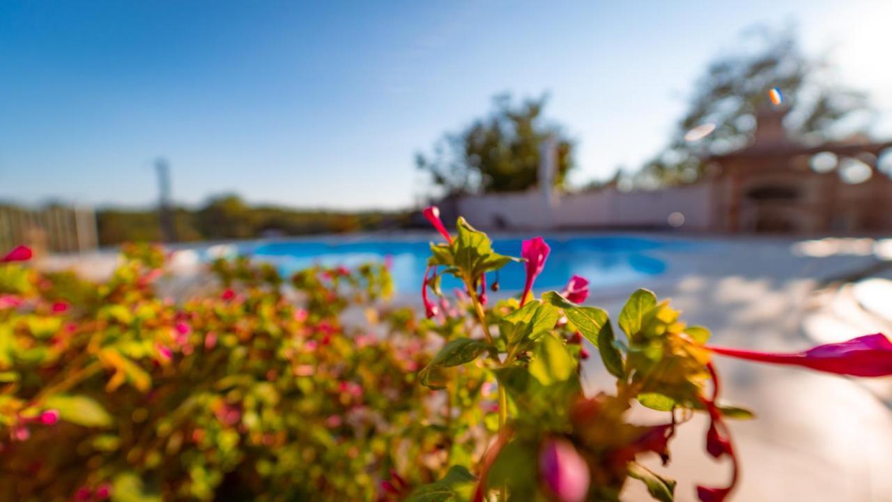 Villa Arton Heated Swimming-Pool Žminj Εξωτερικό φωτογραφία