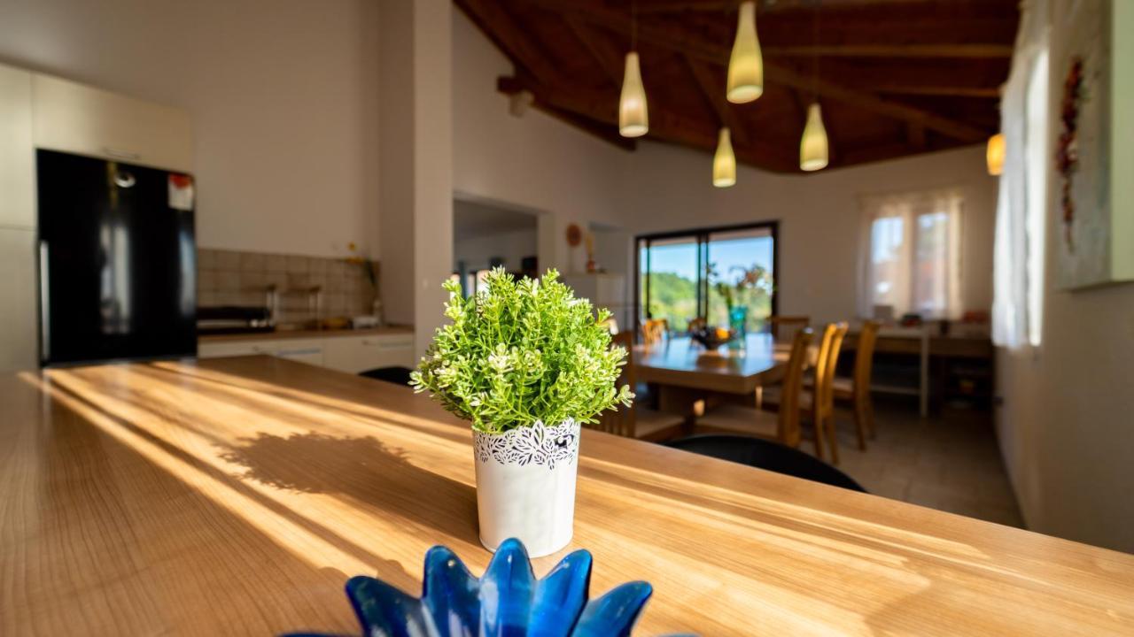 Villa Arton Heated Swimming-Pool Žminj Εξωτερικό φωτογραφία