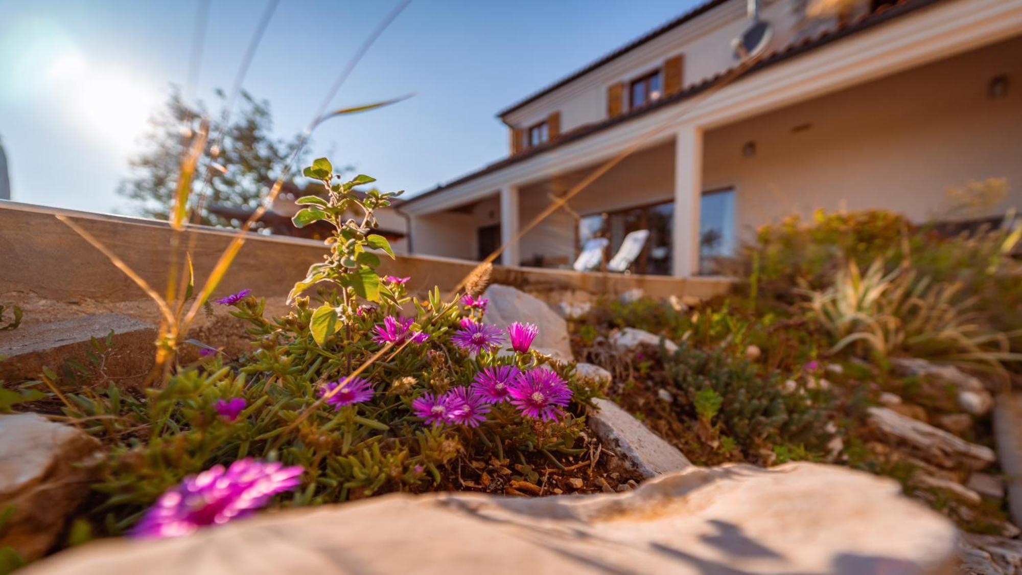 Villa Arton Heated Swimming-Pool Žminj Εξωτερικό φωτογραφία